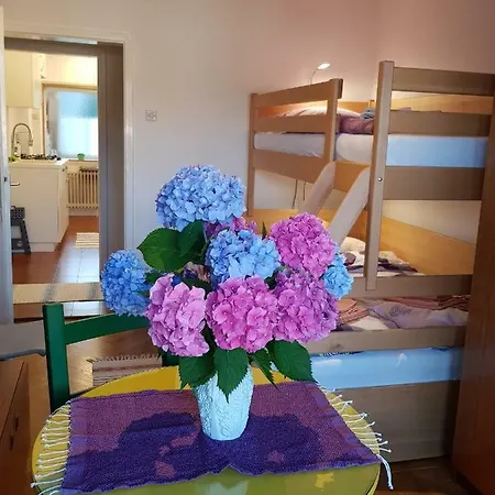 Апартаменты Ljubljana's Terrace