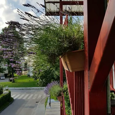 Ljubljana's Terrace リュブリャナ