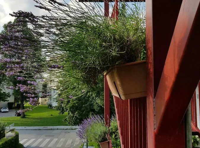 Ljubljana's Terrace Lublaň